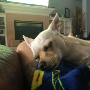 Meet your Posher, William